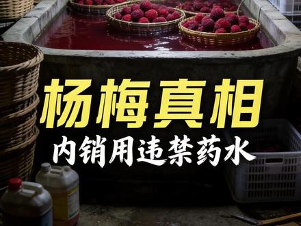 一天卖五六千斤杨梅,商贩自己一口不吃!内幕曝光后我沉默了 福建漳州暗访实录:整筐杨梅泡进禁用防腐剂,三无甜味剂甜度是蔗糖8000倍,检查来了拿好果子充数,走了继续泡药水。更扎心的是,出口欧洲那批严格达标,卖给咱自己人的却是这个。你买回家给孩子吃的杨梅,真的安全吗?
#健康饮食#社会现象 #消费者权益 #育儿