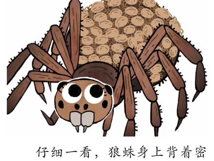 狼蛛,是带有毒的蜘蛛,动物、昆虫被它咬一口就会死亡,狼蛛会舍命保护自己的小宝宝,显出了伟大的母爱。想到狼蛛显现出的母爱,让我想起了我的妈妈,她也是那样有伟大无私的母爱,我想对妈妈大声地说:“妈妈,我爱你!”#每天学习一点点 #知识分享 #家庭教育 #亲子共读 #绘本推荐 #学习 #让阅读成为一种习惯 #绘本