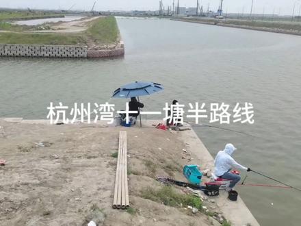 慈溪杭州湾十一塘半路线实拍#钓点 #导航 #野钓 #原来钓鱼才是抖音运动顶流 #钓鱼的乐趣只有钓鱼人懂