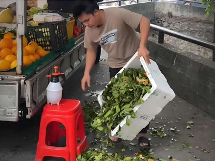 好家伙 现在干什么先要学会打窝了!#打窝 #打窝技巧