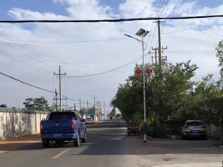 出差分享之民勤羊肉,巨巨美味