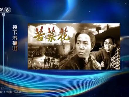 老电影,八一电影制片厂