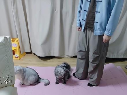 【2026012121】丁铲儿:近乐者捞,我得赶紧跑! @阿乐大王 #龙岛异兽 #龙岛异兽起源 #阿乐大王 #龙岛异兽阿乐