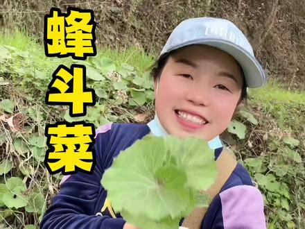 蜂斗菜,又名蛇头草、水中流头等。你吃过吗?#新农人计划2022农村生活 #野菜 #略阳植物志