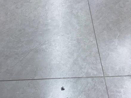 如果你也讨厌数学,可以认识一下#走拍#踩玫瑰花走拍@liday2 @📎小岛西游…!