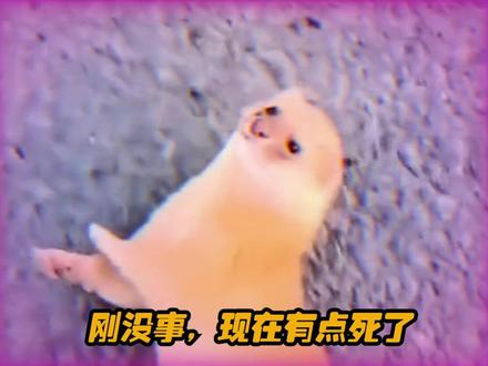 #万万没想到 黄鼠狼:真的很谢谢你的话聊#搞笑