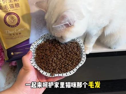麦富迪舒然鱼油猫粮竟然出了个2.0,热乎的新品!#麦富迪 #麦富迪舒然 #科学养宠攻略 #养猫经验分享 #新手养猫