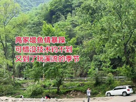 高家堰河里的鱼情暴躁,可惜我这菜鸟钓不到#山间小溪 #记录生活