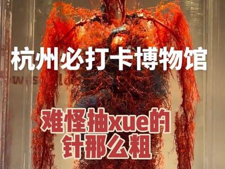 真实人体血管标本,杭州值得去的博物馆 #人体标本#大体老师#人体奥秘#大红人动脉血管标本#科普
