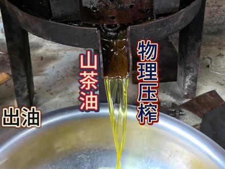 茶油富含多种维生素和矿物质,春天压榨,够一家人吃一整年#山茶油 #山茶油压榨过程 #惬意的农村生活