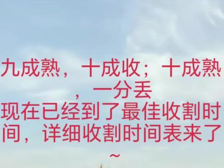 老话说得对:九成熟,十成收;十成熟,一分丢!现在正是小麦最佳抢收时间,详细的收割时间表已经整理好啦~
#小麦收割时间表 #小麦种植管理