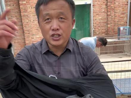 狗市淘只精品卡斯罗#护卫犬 #萌宠推荐官 #卡斯罗