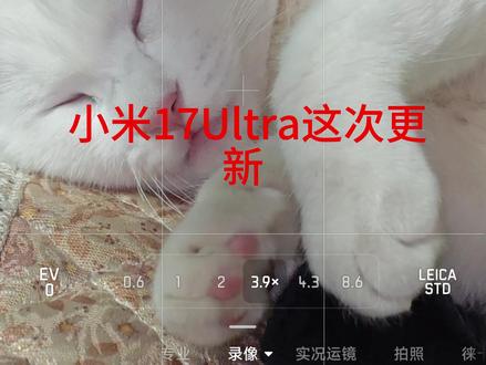 这次小米17Ultra的更新,拍视频的时候,直接可以弄动图了,不用再视频导实况。#小米17Ultra #澎湃OS3