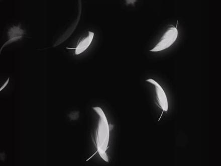 重装系统只需要点两下#组装电脑 #电脑 #系统