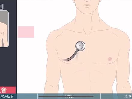 呼吸音的原因 #医学科普 #健康养生 #科普知识 #人体结构