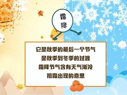二十四节气之霜降 秋季的尾巴 快抓住它#二十四节气 #霜降 #秋天