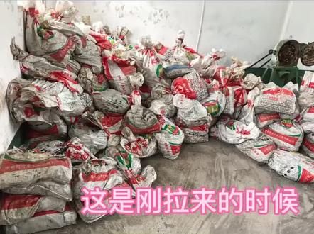 #朱砂制作过程 这是我跟拍半个月,剪辑一下午的成品,很有成就感的,哈哈 不喜勿喷#朱砂原产地#真朱砂