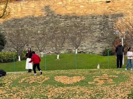 南京你是懂浪漫的!环卫大叔打造银杏落叶打卡点(来源:江苏新闻、@耶比小昕 ✌︎' ֊' )