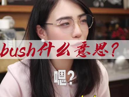 哎呀,美总统,bush还是bush,布什还是灌木丛?#英语 #单词