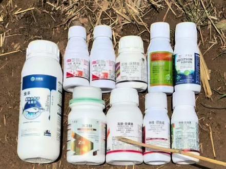 买玉米一喷三防注意事项及打药时间! #玉米种植 #玉米种植技术 #玉米高产种植技术 #玉米管理 #玉米高产 @绿丰农资(马老师)