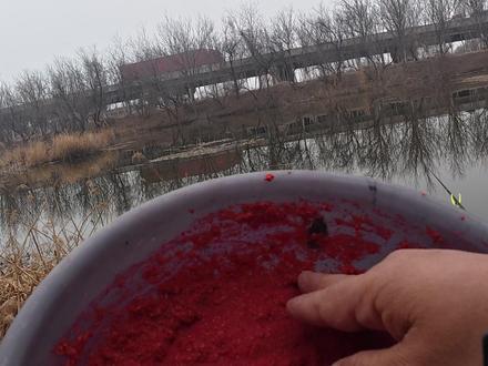 野钓走水别慌!调漂抓口技巧全在这 当有一天你能体会到八九成的12点正口的时候,你就再也回不去了,不管你钓了几年鱼#老单说渔 #野钓走水怎么办 #调漂教程 #抓口