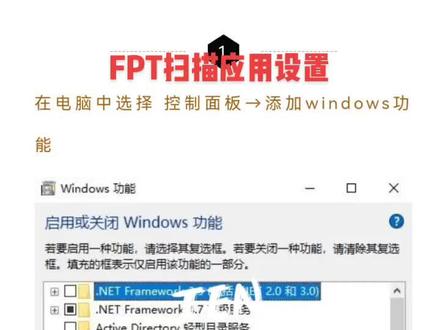 FPT扫描应用设置