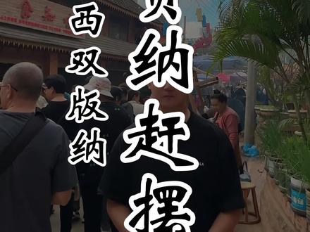 来西双版纳怎么会少得了去参加本地人的赶摆集市呢?曼贺纳古寨11月18-19日举行,推荐大家一定要早上去哦。#导游慕辰 #西双版纳旅行攻略