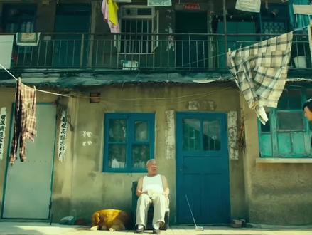 sofree叫爸爸#福瑞 #原神 #白虎