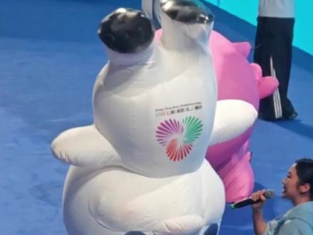 全运会顶流“大湾鸡”,倒立原理大揭秘 乐融融扮演者:倒立前头脚互换位置,实际人是正常站立 #大湾鸡 #十五运会 #全运会 #大河体育 #大湾鸡全运会吉祥物