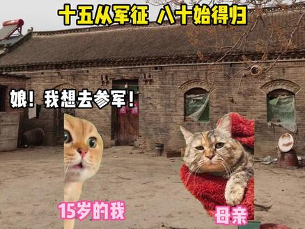 十五参军,八十而归 #猫meme #猫meme小剧场 #致敬英雄