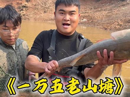 花一万五盘下一口十年没干的鱼塘,塘主保底三千斤鱼,最后究竟能上多少鱼?#大强#三农#包鱼塘#抓鱼#真实户外