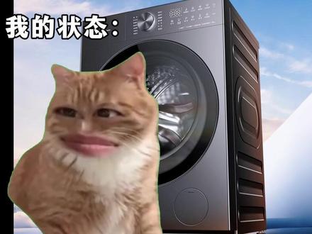小天鹅小乌梅5.0新品价太给力了! #小天鹅洗衣机#家电#小天鹅小乌梅#洗衣机#小天鹅新品