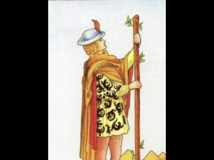 权杖侍从解析 #权杖侍从逆位#塔罗#塔罗牌#塔罗牌教学#塔罗测试