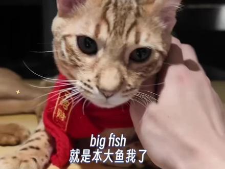 郑富贵,网瘾小一点都不知道你在玩啥梗 #梓渝