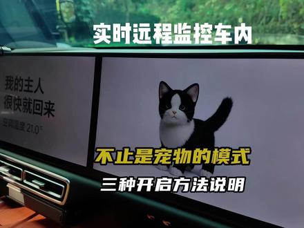 理想宠物模式三种开启方式,你最喜欢哪一种? 理想OTA8.2宠物模式,无宠也刚需!谁懂啊,这个新功能,带娃取快递再也不慌了,我觉得这就是离车不下电的升级版,更贴心#理想生活进行时 #我家的宠物座舱 #理想汽车 #OTA #汽车人共创计划