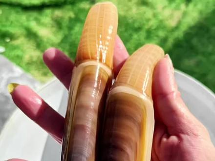 敲沙震蛏挖蛏王 #赶海#挖蛏王#赶海的体验 #祝你马上成功马上发