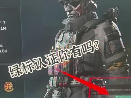 三角洲绿标认证,这个德作用是什么呢?#三角洲行动