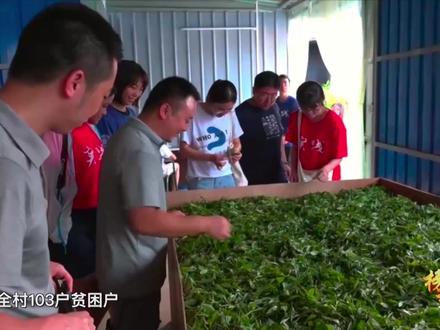 【榜样】黄文秀:“不获全胜 绝不收兵”