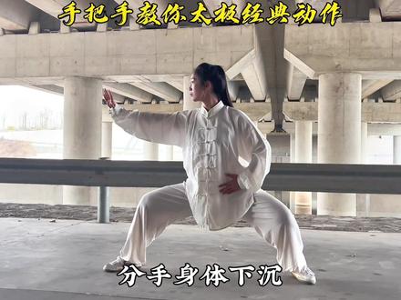 手把手教你经典太极动作#太极拳 #传统文化 #太极 #中国功夫