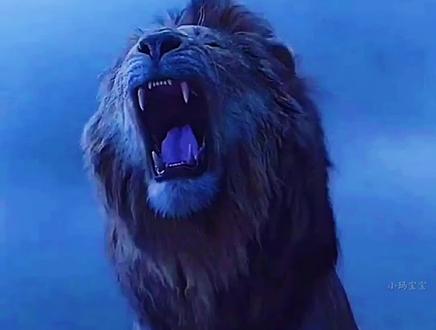 龙吟狮吼 雄狮对吼霸王龙 #猛兽 #狮子 #霸王龙