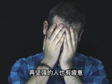 漂泊一生的“无脚鸟”-雨燕 #鸟类 #雨燕鸟 #看动物世界品百味人生 #奋斗的你