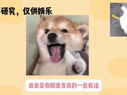 mj科普向之mj会给我们打钱吗? 经常能刷到50w结果汇率转换过来只有500,汇率也太离谱了吧哈哈哈哈哈哈
对于打钱呢,我只寄希望于mj给我托梦让我买彩票的数字
#梦女 #梦女向 #mj #mjg #mjj