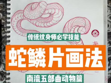 柔胜刚弱胜强,蛇鳞画法分享给诸位
南流五部曲动物篇一角
#蛇画法#手绘 #纹身手稿 #绘画 #传统纹身师 #纹身师日常 #纹身刺青