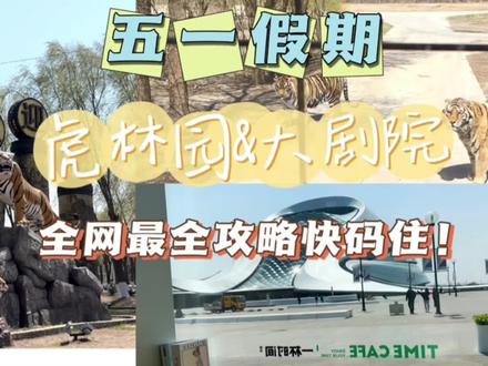 挑战毕业前打卡哈尔滨100处好吃好玩之东北虎林园&哈尔滨大剧院|五一小长假不知道去哪玩的,快看我这篇攻略,让你半天打卡两处景点#五一去哪儿 #哈尔滨旅游攻略 #旅行攻略扶持计划 #东北虎#心动推荐官