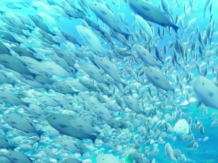 枫丹鱼群漩涡解锁攻略#原神枫丹 #原神 #原神攻略