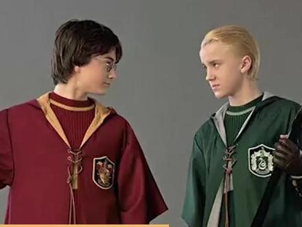 关于魁地奇,你们不知道的事! #哈利波特 #魁地奇