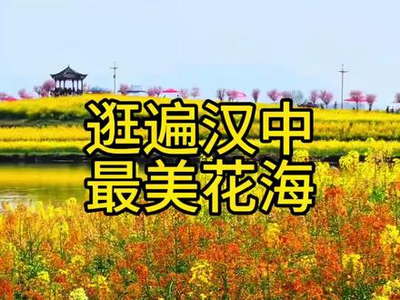 #汉中的油菜花把春天酿成金色 #汉中 #汉中好玩的地方推荐 总要来一次汉中吧,看一场漫山遍野的油菜花,喜欢美景的进入我直播间,我带你云游整个春天,免费攻略,最佳拍照点,我全都告诉你