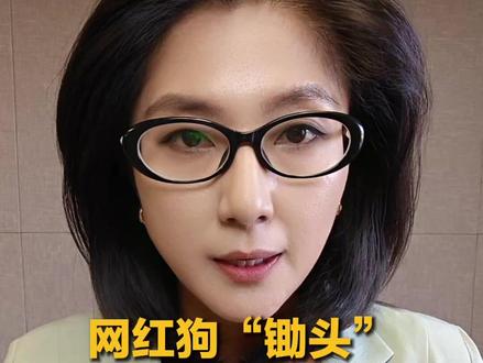 网红狗“锄头”被偷宰卖180元,主人能获赔吗?#媒体精选计划