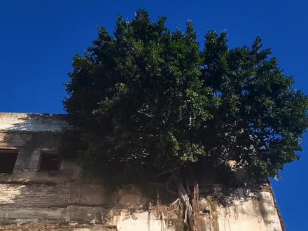 “当一个人向你树立边界时, 其实是在想方设法地把你留在她的生命里。”
对于高敏感的个体来说,难以掌控的边界总会让人很头疼。但我们最终还是应该学会理解边界的意义,不是为了分离,而是为了长久地走下去。#人生感悟 #z20 #边界感 #口播