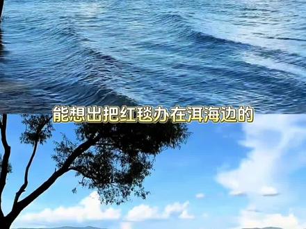 当十二月花神遇见大理洱海 苍山洱海间,一起赴一场繁花盛典#2026抖音直播繁花盛典